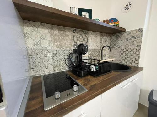 Il comprend une petite cuisine équipée d'un évier et d'un four micro-ondes. dans l'établissement Apartman Lumera, à Zlatibor