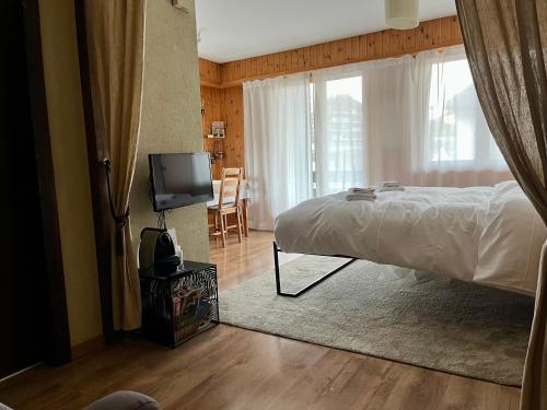 um quarto com uma cama e uma televisão de ecrã plano em Charmant Studio, 2 adultes , Centre de Nendaz em Nendaz