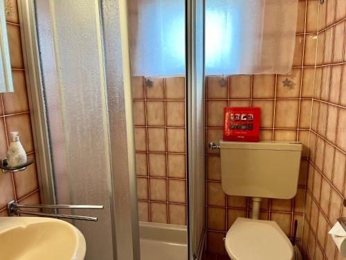 a bathroom with a shower and a toilet and a sink at Charmant Studio, 2 adultes , Centre de Nendaz in Nendaz