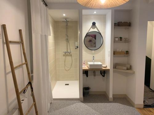 a bathroom with a shower with a sink and a mirror at Kris Sweet Home in Romagnat
