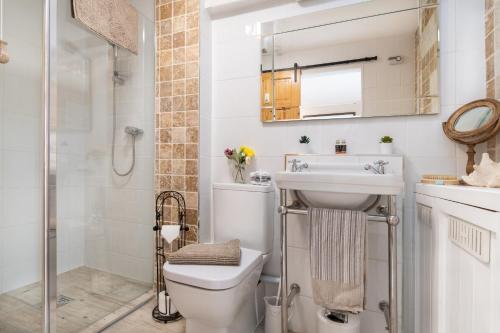 a bathroom with a toilet and a sink and a shower at Clai Cerrig in Llangefni