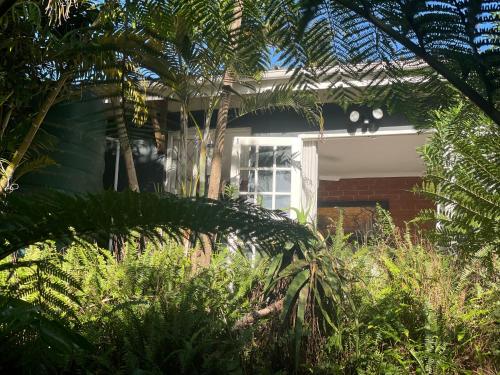 Taman di luar Ladybird