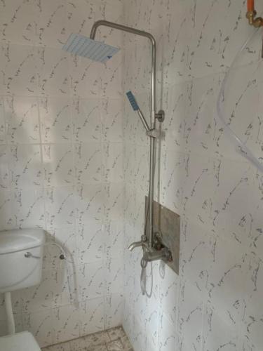 a bathroom with a toilet and a shower at flowerhouse Sukuta Gambia in Sukuta
