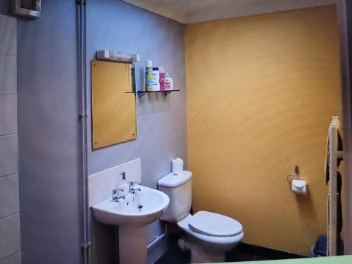 a bathroom with a white toilet and a sink at Donkey & buskins in Layer de la Haye