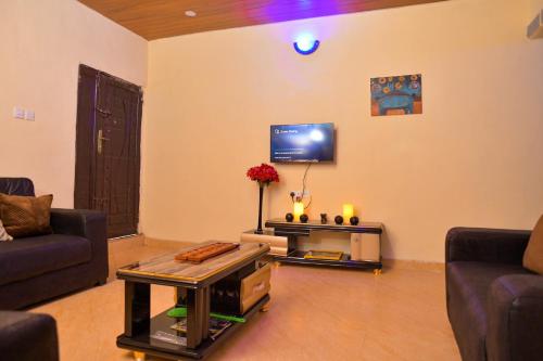 a living room with two couches and a tv at Living Green APARTMENTS AIRPORT PICK UP in Benin City