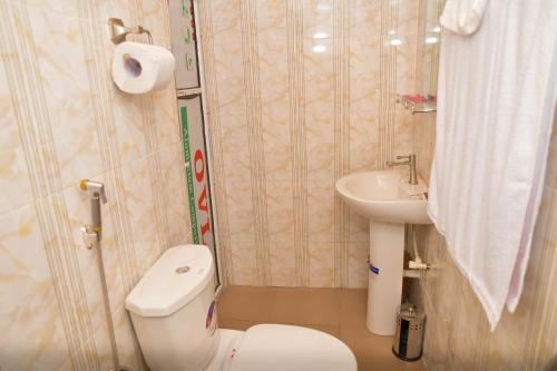 a bathroom with a toilet and a sink at Living Green APARTMENTS AIRPORT PICK UP in Benin City