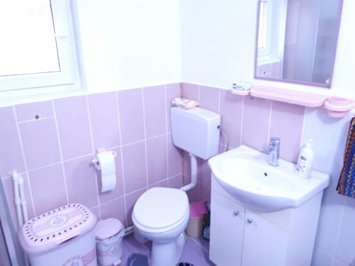 a bathroom with a white toilet and a sink at Casa din Vale / House of the Valley in Vulcan