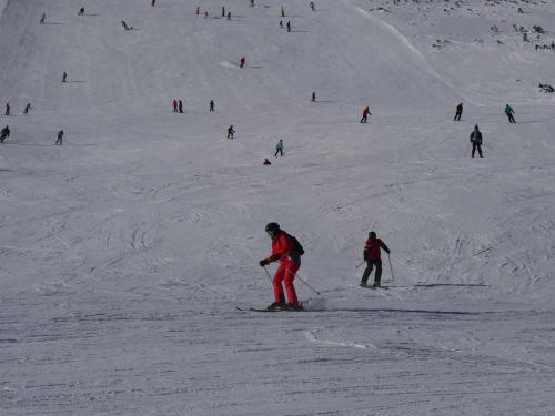 a group of people skiing down a snow covered slope at Altavista mountain apartment in Samokov
