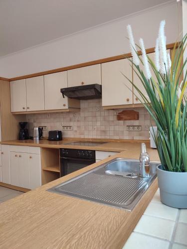Dapur atau dapur kecil di Tempel-inn Klosterstraße