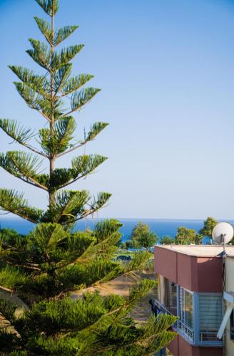 a pine tree in front of a building at ABC Apart Hotel in Antalya