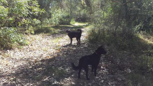 Rancho Santa Cruz – Photos 2