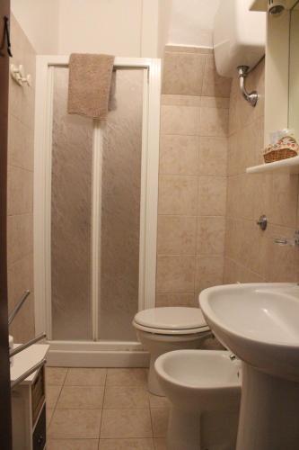 y baño con ducha, aseo y lavamanos. en Agriturismo Il Capannone, en Montemerano