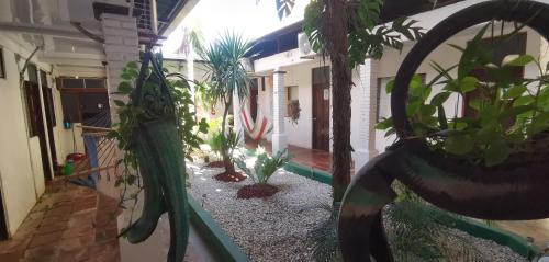 a courtyard with potted plants on the side of a building at Hotel Aldea Pura Vida in Puntarenas