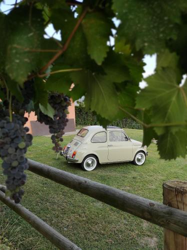 a small white car parked in a field of grapes at Agriturismo La Soglia Del Parco in Ranica