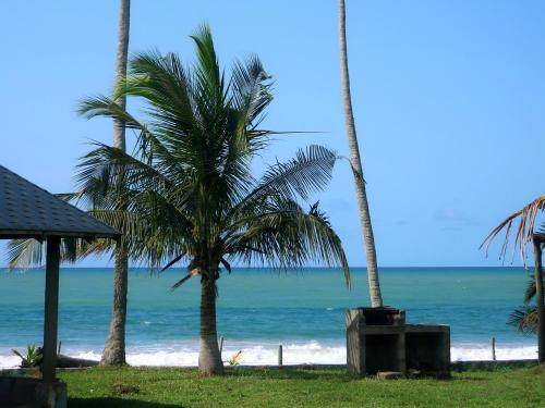 a beach with palm trees and the ocean at Afro Beach eco Resort Butre in Butre