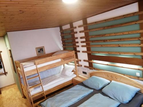 a bunk bed in a room with a ladder at Pension Arkadenhof in Loipersdorf bei Fürstenfeld