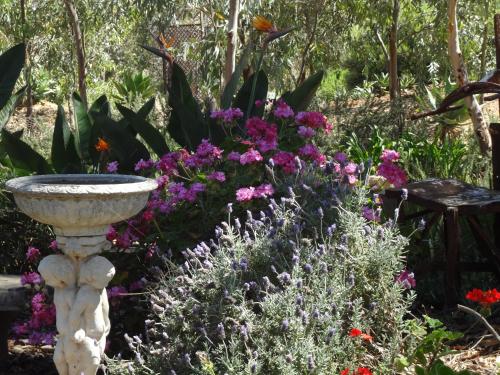 a garden with a bird bath and flowers at Hillside Country Retreat in York