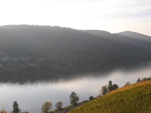a view of a body of water with a hill at Wein- und Landhaus S A Prüm in Bernkastel-Kues