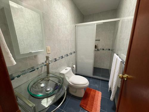 łazienka z toaletą i szklaną umywalką w obiekcie Hotel boutique w mieście León