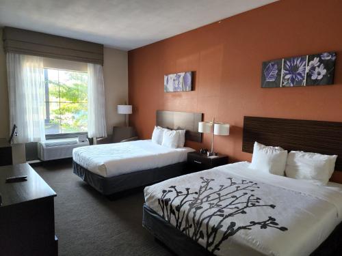 a hotel room with two beds and a window at Sleep Inn & Suites Dyersburg I-155 in Dyersburg