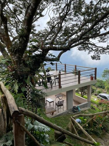 a deck with a table and a bench under a tree at PROVENZA en Los Naranjos in Juayúa