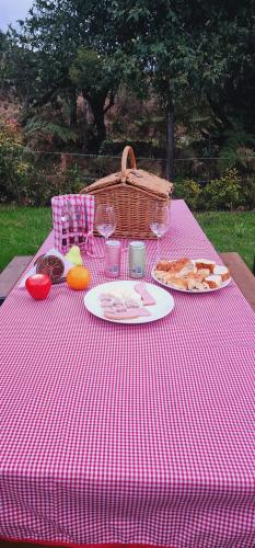 a pink and white picnic table with food and wine glasses at EcoChalet Luxury in Ráquira