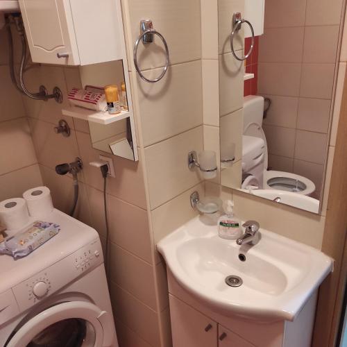 a small bathroom with a sink and a washing machine at Apartman Jevrejska Banja Luka in Banja Luka