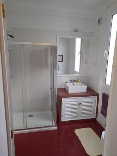 een badkamer met een douche en een wastafel bij Casa da Mediana in Ribeira Grande