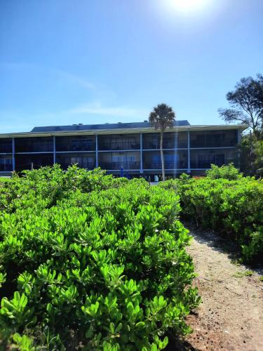 Sunset Beach Condo #54455 – Photos 2