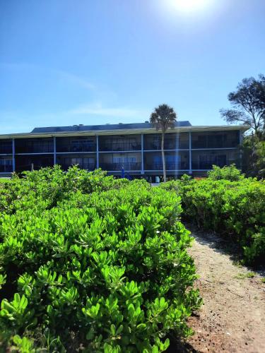 a building with a bunch of bushes in front of it at Sunset Beach Condo #54455 in Holmes Beach