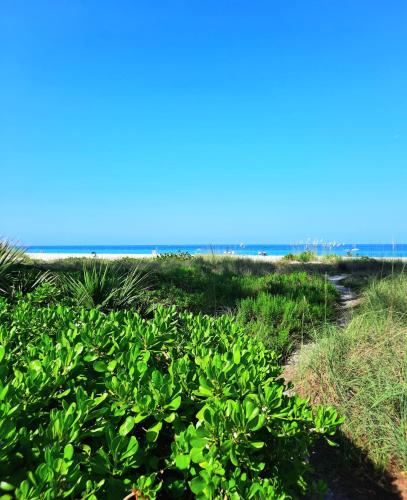 Sunset Beach Condo #54455 – Photos 4