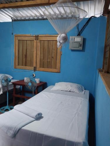 a bedroom with a bed and a blue wall at Bedrooms where Charlie in El Paredón Buena Vista