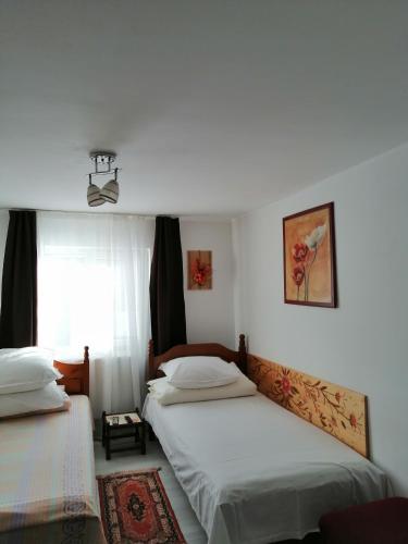a bedroom with two beds and a window at Casa Nobilis in Gura Humorului