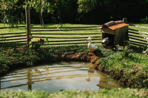 a bird standing next to a pond with a bird house at La Perla Negra - Black Pearl Eco Hostel in San Rafael