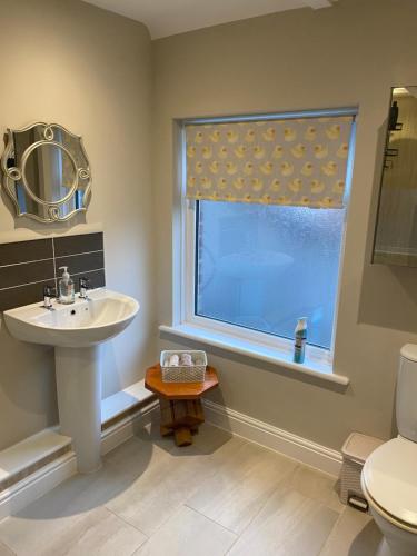 uma casa de banho com um lavatório e uma janela em Flat 2, 22 the square centre of Dalston village em Dalston