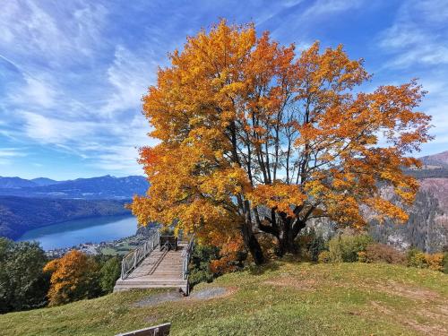 アパートメントの近くで見られる自然の景観