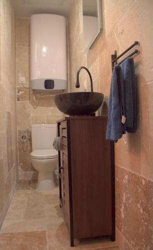 une salle de bain avec un lavabo et des toilettes dans l'établissement Logement cosy - proche du Prado, à Bourges