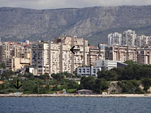 a bird flying over a city with buildings at Apartment Amalfi in Split