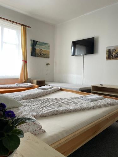 Postel nebo postele na pokoji v ubytování Penzion Slunečnice