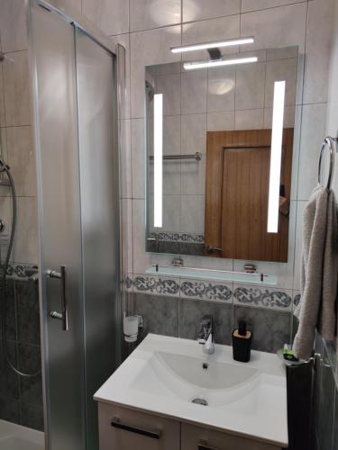 łazienka z umywalką, prysznicem i lustrem w obiekcie Apartments Battistutti - Free Private Parking w Zagrzebiu