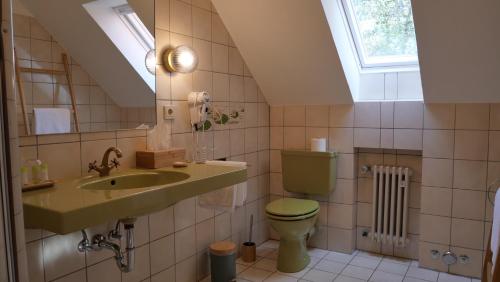 W łazience znajduje się zielona toaleta i umywalka. w obiekcie Hotel Schloss Diepenbrock w mieście Bocholt
