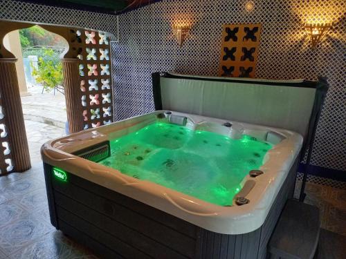- une baignoire avec de l'eau verte dans la chambre dans l'établissement Résidence Royal Palmeraie, à Aubagne