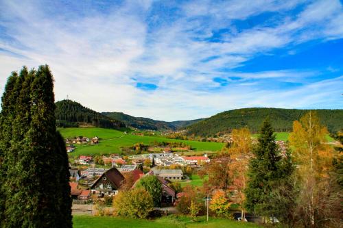 una pequeña ciudad en un valle con árboles y montañas en Gemütliches Studio mit Ausblick, Pool und WiFi, en Baiersbronn