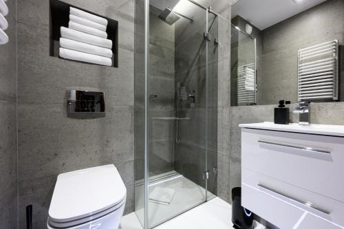 a bathroom with a shower and a toilet and a sink at Native Apartments Masarska 8/5 in Kraków