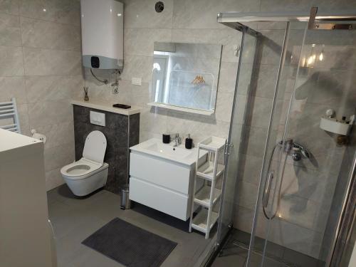 a bathroom with a shower and a toilet and a sink at Apartment by AntunovicWinery in Trpanj