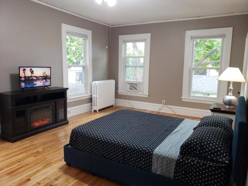 a bedroom with a bed and a fireplace and a television at The Uptown Oasis in Minneapolis