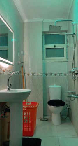 a bathroom with a white toilet and a sink at Comfy Apartment with private yard in 6 October city Cairo in 6th Of October