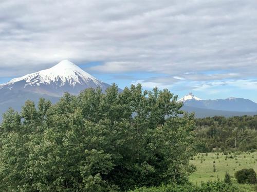a snow capped mountain in the distance with a tree at Moon River Puerto Varas in Puerto Varas