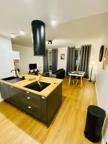 Il comprend une cuisine et un salon avec un évier et un comptoir. dans l'établissement Le doux refuge - 50m2 flat in heart of Orleans, à Orléans