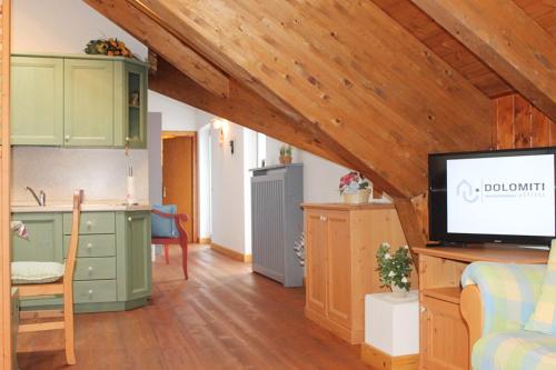 a kitchen with green cabinets and a tv in a room at LA PULCE INNEVATA - Agenzia Dolomiti Affitti in Passo Rolle